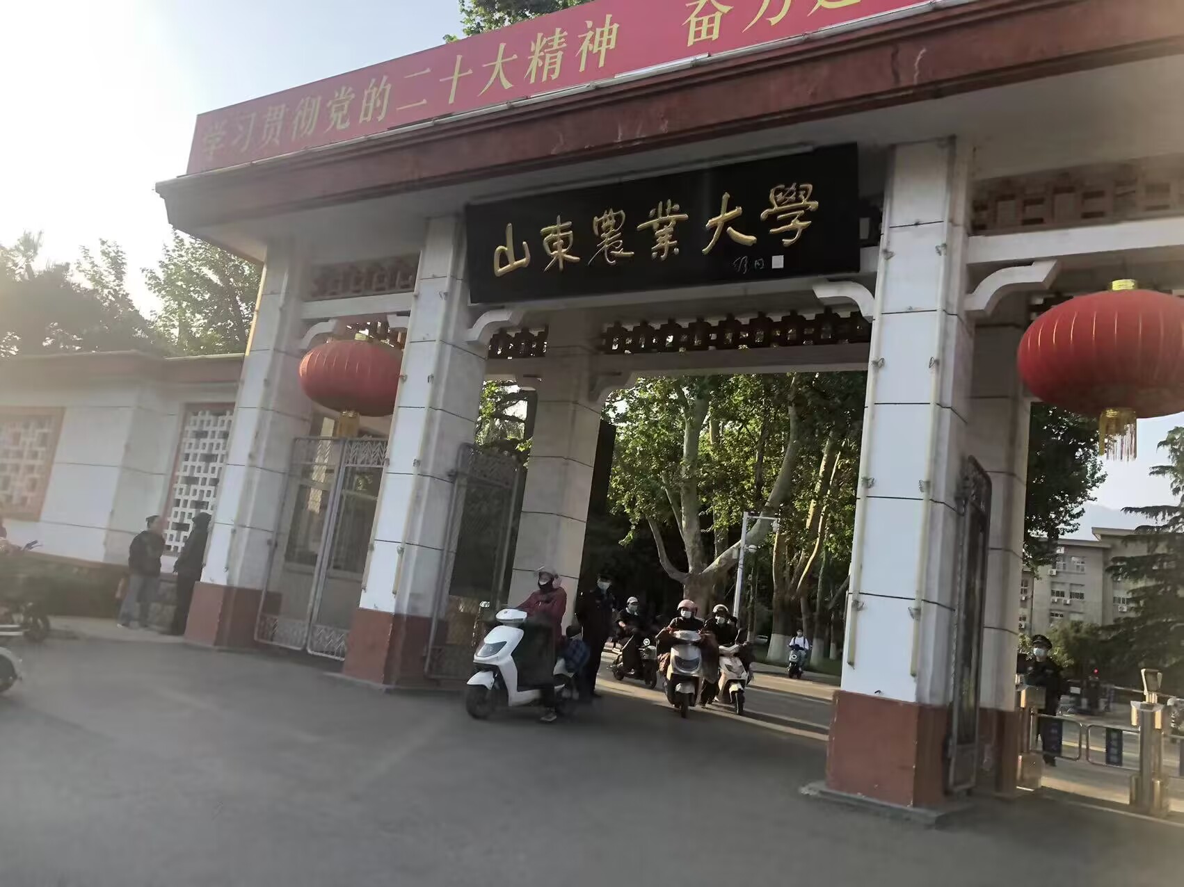 山東農(nóng)業(yè)大學(xué)食品科學(xué)與工程學(xué)院2